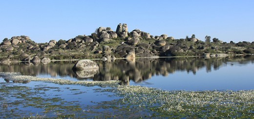 Imagen cedida por Malpartida de Cáceres