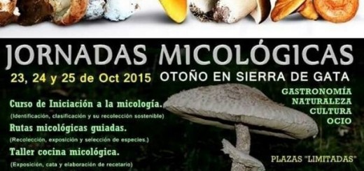 otono_experiencias_gastronomicas_